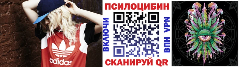 закладки  Ефремов  Псилоцибиновые грибы прущие грибы 